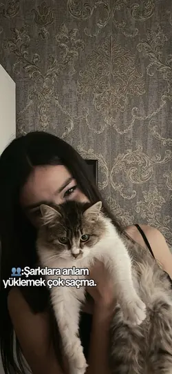 Fehimefen çaldim