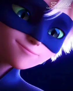 Ladybug and Catnoir