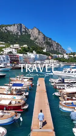 Travel Dump
