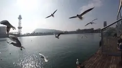 Hermosura de planeta