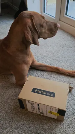 Another Parcel