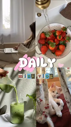 opening vlog 