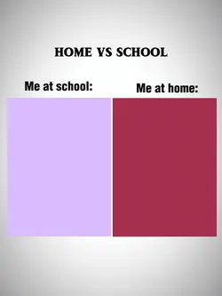 school vs home