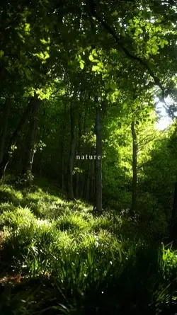 nature
