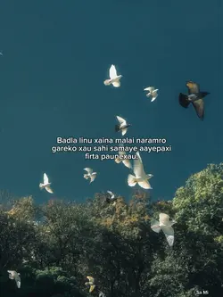 🦋❤️‍🩹