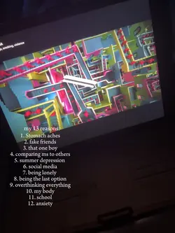 13 reasons