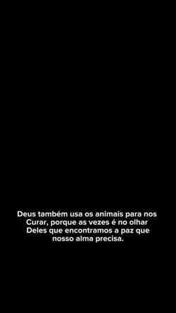 meu amiguinho pet