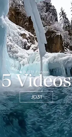 5 Videos 
