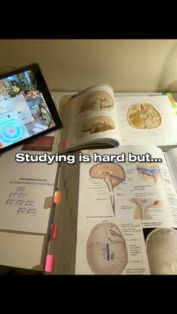 Studying is hard but