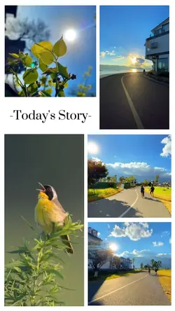 Today's Story 