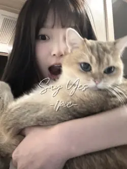 Lyric Say Yes