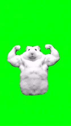 Gym bro