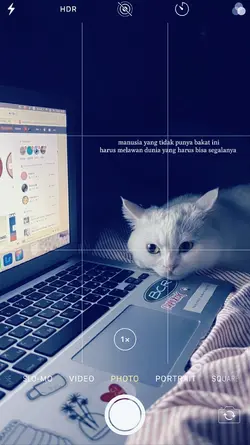 kata kata