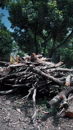 CINEMATIC KECE PARAH
