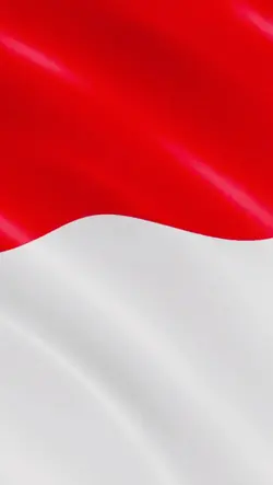 video HUT RI IE 80