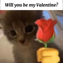 Will you be my…
