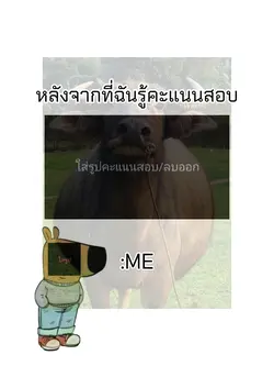 เมื่อรู้คะแนนสอบ