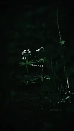 Therapy