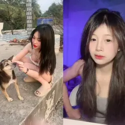 2 parallel videos