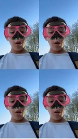 Fly