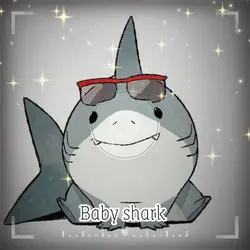 Baby shark 