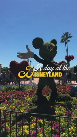 a day at Disneyland 