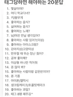 태그 당한 사람 똑같이 하기ㅣ