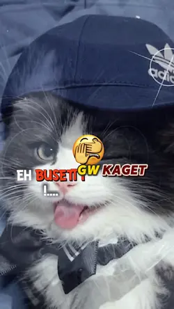 eh buset gue kaget