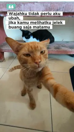 Buang saja matamu
