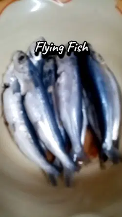 Isda