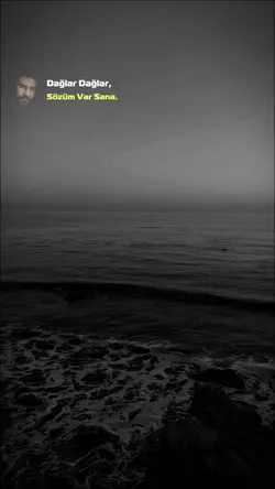 AHMET KAYA