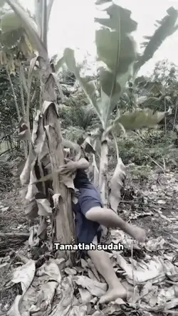 TAMATLAH SUDAH