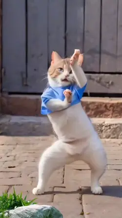 Sumasayaw na pusa