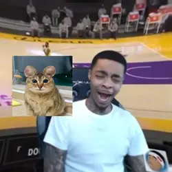 Random Cat Edit