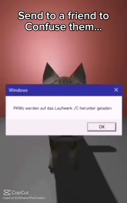USB Mikro USB Cat