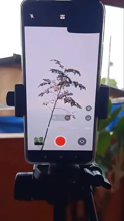 Apexel Lens
