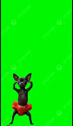 Dog dance
