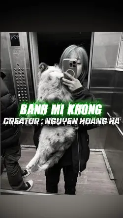 Bánh mì không remix