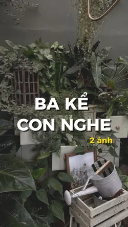 HÔM NAY BA CÓ ÂM