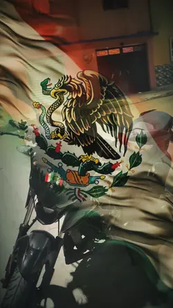 Mi bandera