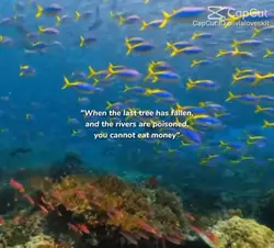 Save za earth
