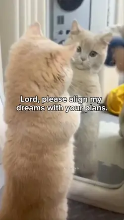 Lord, please 