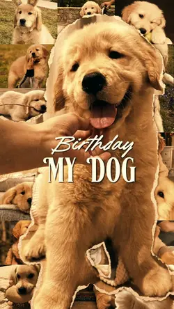Birthday My Dog