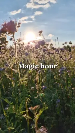 Magic hour