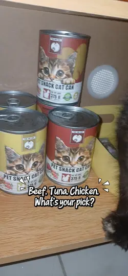 New wet food unlocke