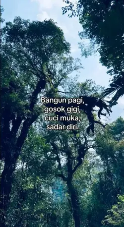 trend sadar diri