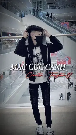 MẪU TUYẾT CHÁY