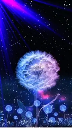 Dandelion