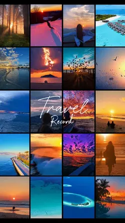 Travel record