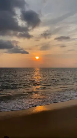 #ทะเล🌊🐳🐢